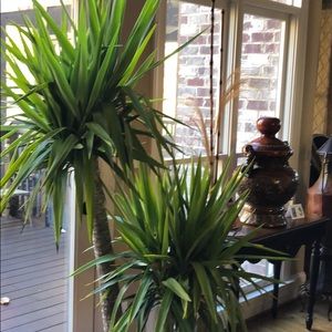 Meet your Posher, Aj